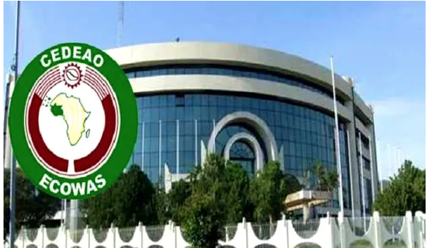 ECOWAS: Our Forces Ready to Storm Niger if Diplomatic Options Fail