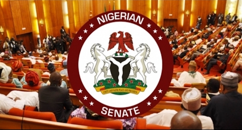 Senate Seeks Inclusion of Domestic Servants in New National Minimum Wage Scheme