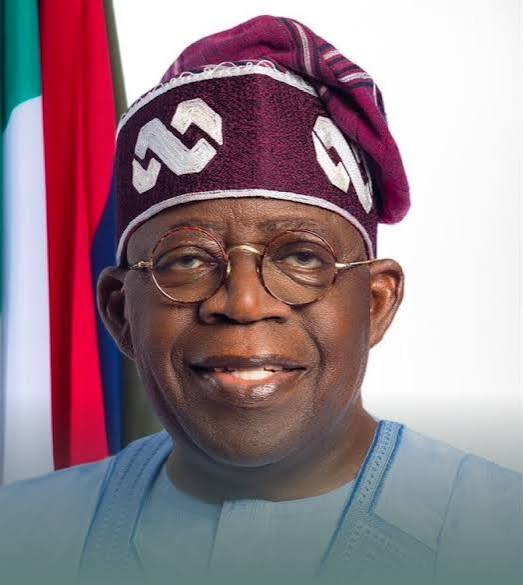 Tinubu to Deloitte Africa: Nigeria’s Economy is on Steady Growth