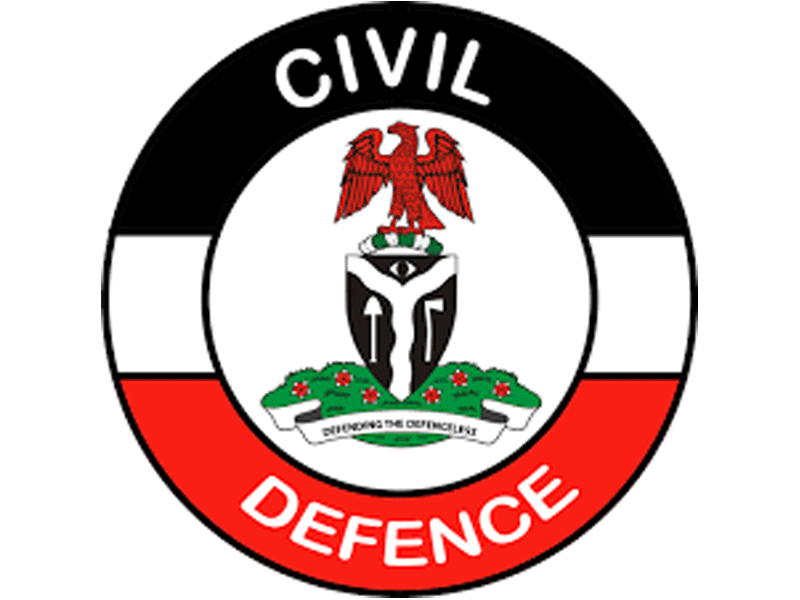 NSCDC Dismisses Officers, Sanctions 79, Arrests 12 over Alleged Illegal Arms Ring