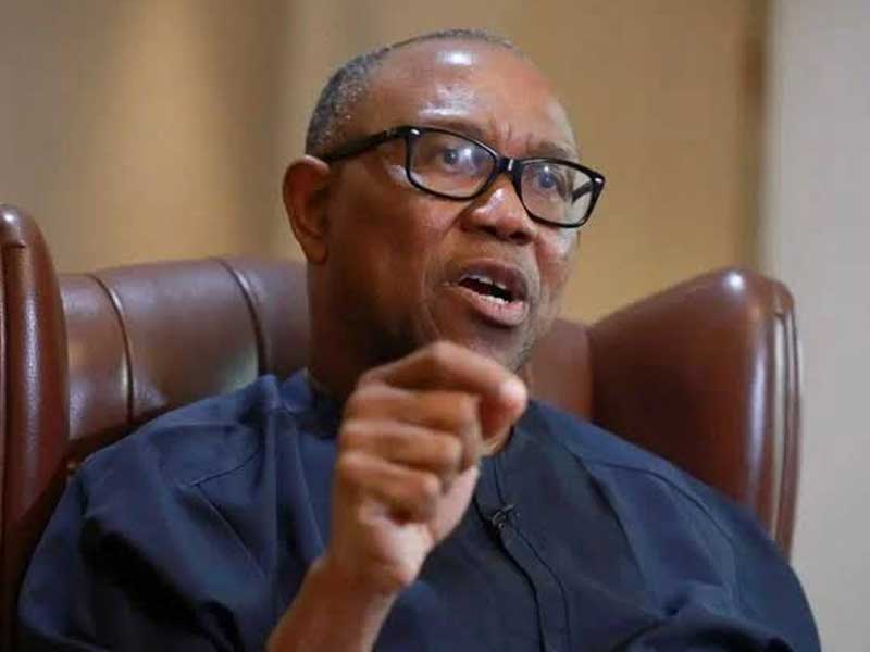 Peter Obi to Baba-Ahmed: I Can Transform, Bring Honour to Nigeria
