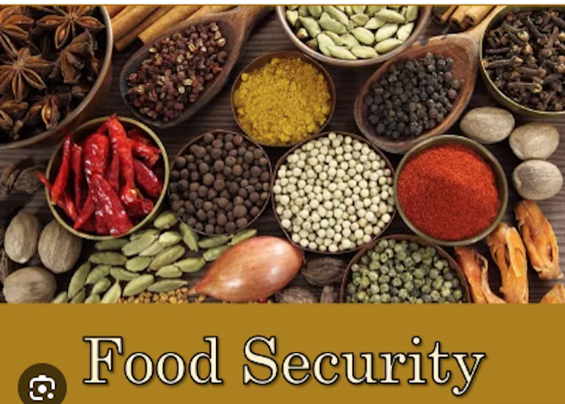 Food Security: 235,567 Farmers Benefit as Kwara Gov Flags-off Distribution of Inputs, Support